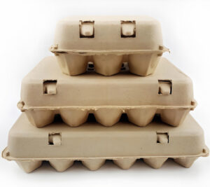 Recyclable Paper Pulp Egg Cartons – Sustainable Egg  Shipping Solutions
